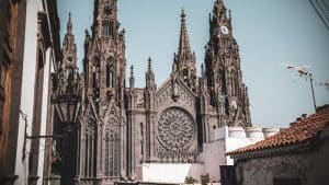 renovar carnet conducir arucas