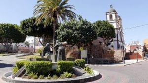 renovar carnet ingenio canarias