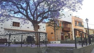 renovar carnet valsequillo