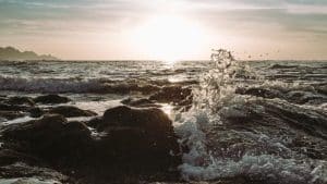 licencia pesca submarina canarias