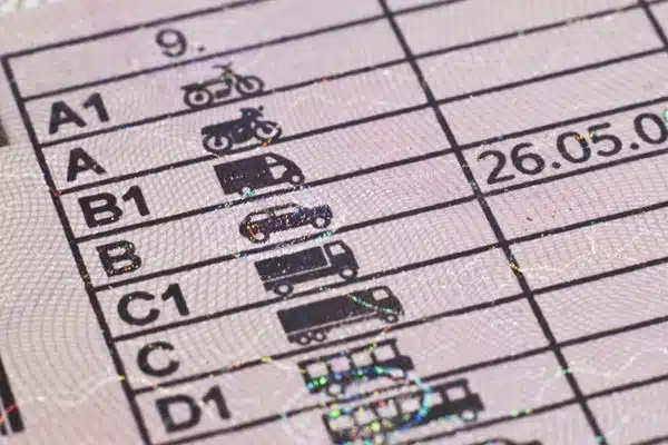 canje carnet rumania en canarias