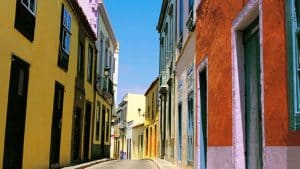 renovar carnet santa maria guia