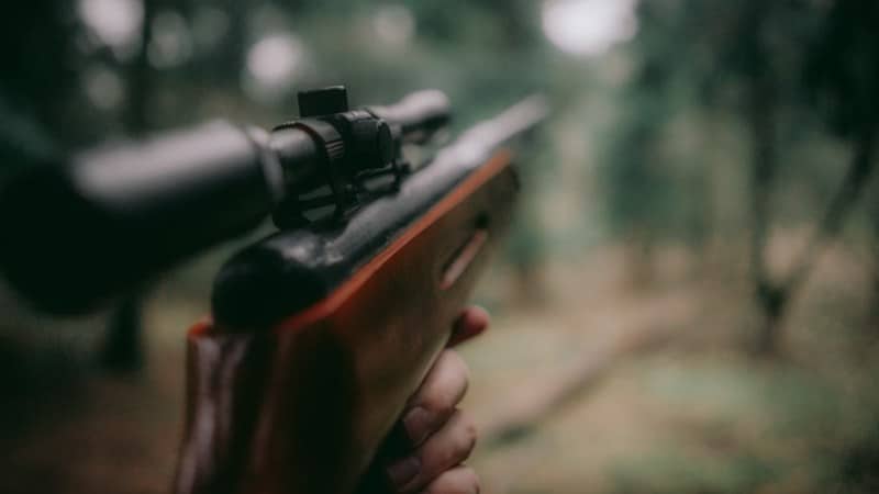 info sobre la licencia de caza en canarias