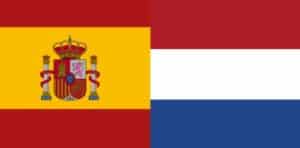 canje carnet conducir paises bajos